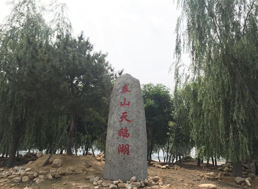 天鵝湖風(fēng)景區(qū)（泰山）速覽！(圖12)